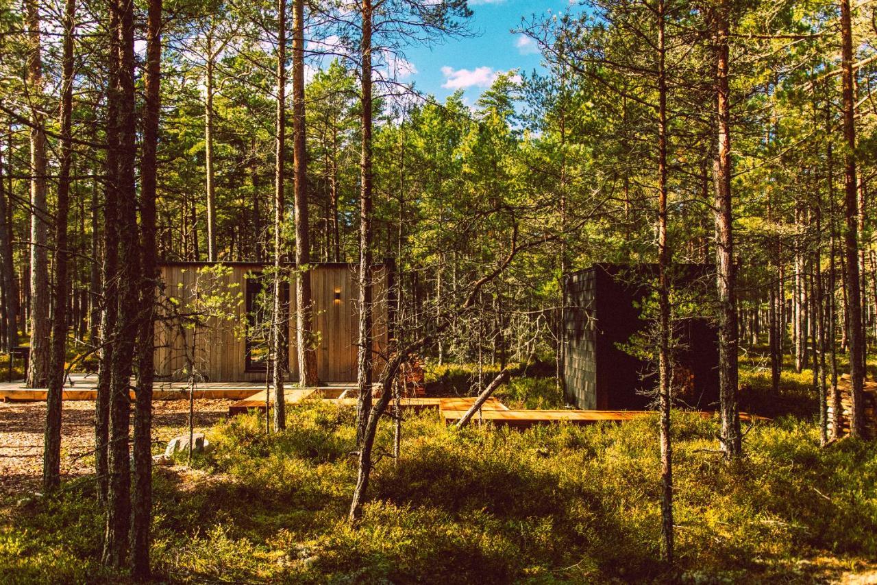 Oeoed Hoetels Rooslepa - Fika, Mysa , Skoent-With Sauna Exteriör bild