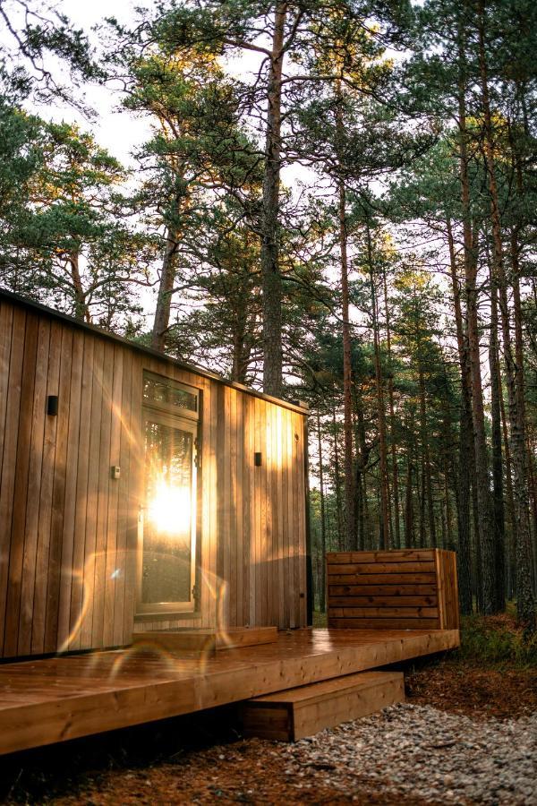 Oeoed Hoetels Rooslepa - Fika, Mysa , Skoent-With Sauna Exteriör bild